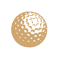 loader image